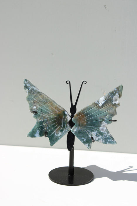 Mosagaat butterfly wings op standaard