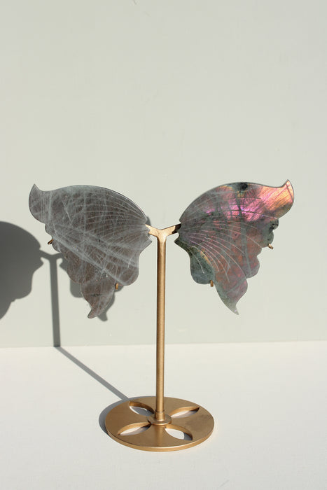 Labradoriet vlinder op standaard
